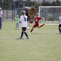 IMG 1112